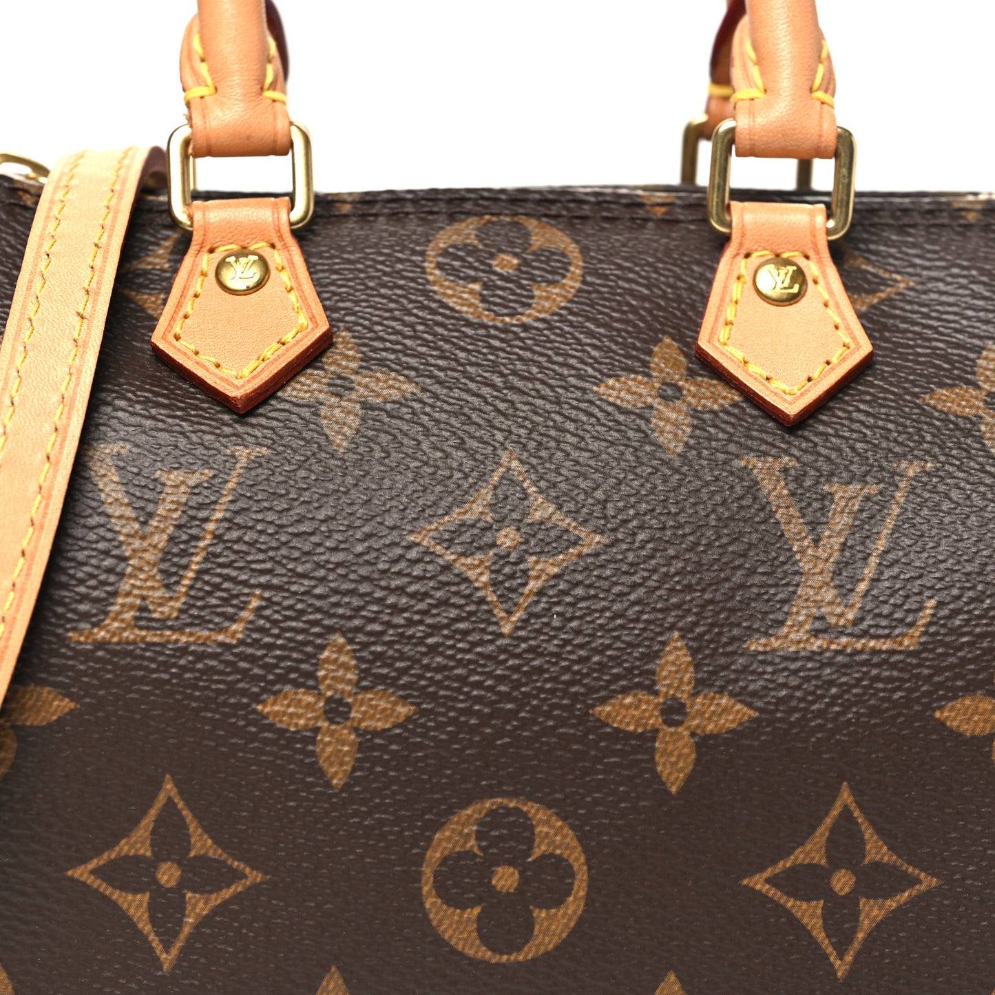 Monogram Nano Speedy