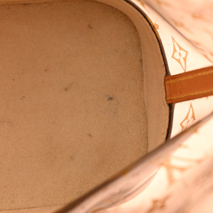 Louis Vuitton Vinyl Cabas Sac Ambre MM 12 of 19