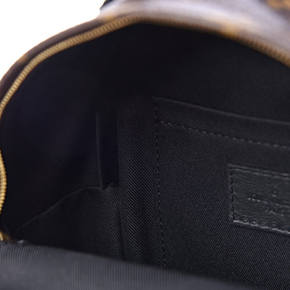 Louis Vuitton Monogram Palm Springs Backpack Mini 9 of 11