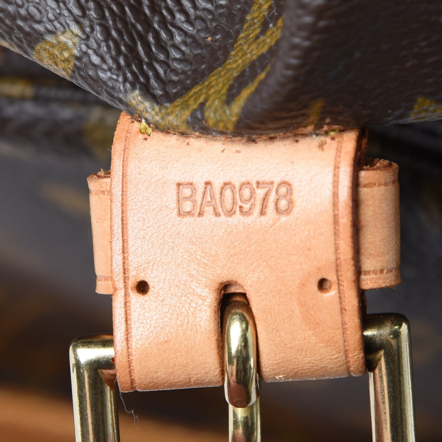 Monogram Montsouris GM Backpack