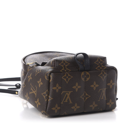 Louis Vuitton Monogram Palm Springs Backpack Mini 3 of 10