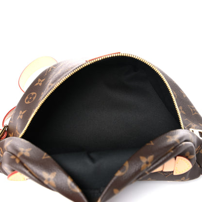 Louis Vuitton Monogram Bumbag 5 of 11