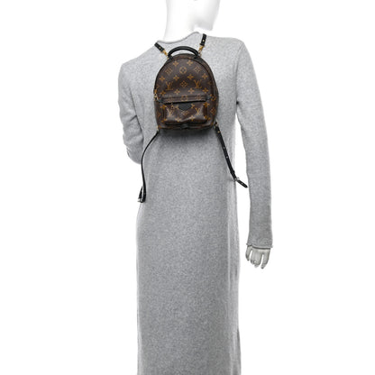 Louis Vuitton Monogram Palm Springs Backpack Mini 2 of 12