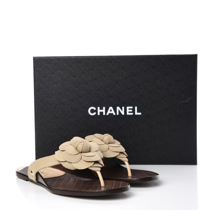 Chanel Fabric Camellia Thong Sandals 40 Beige 9 of 9