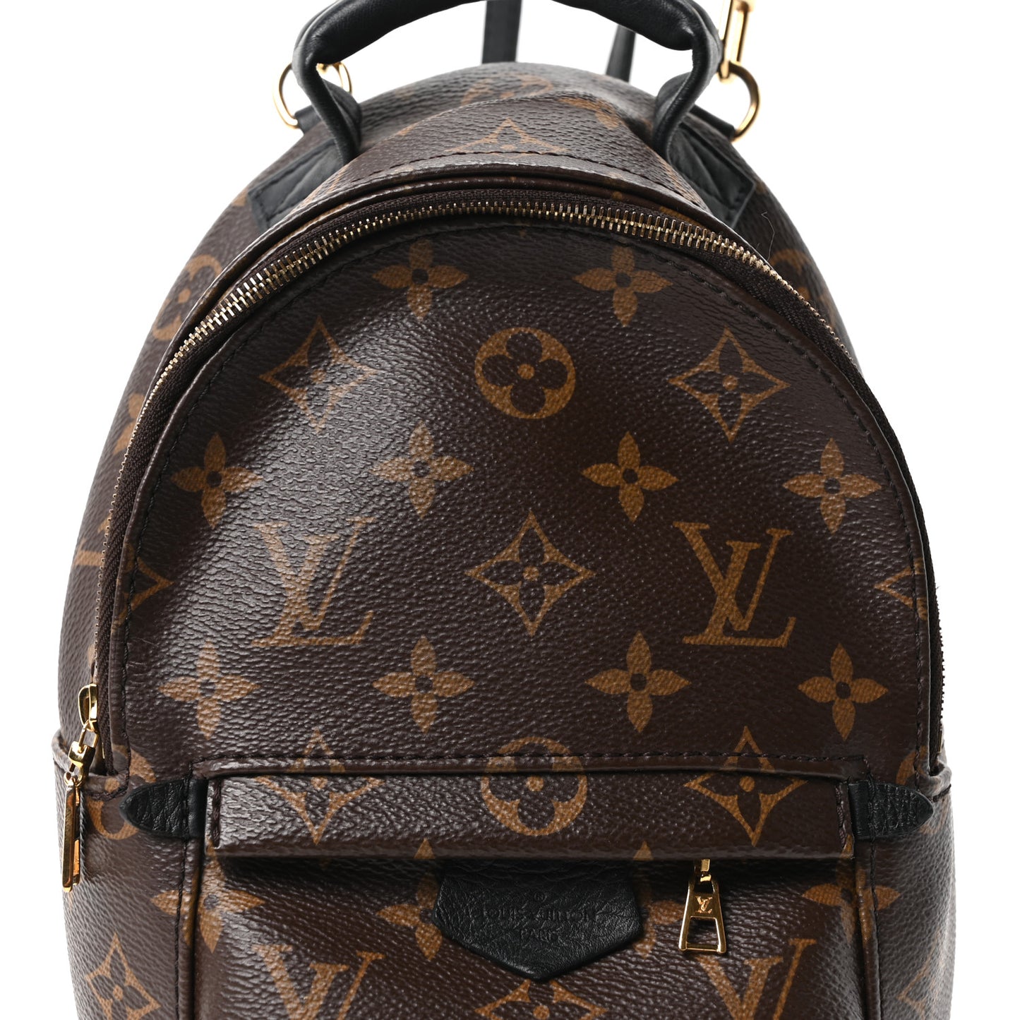 Monogram Palm Springs Backpack Mini