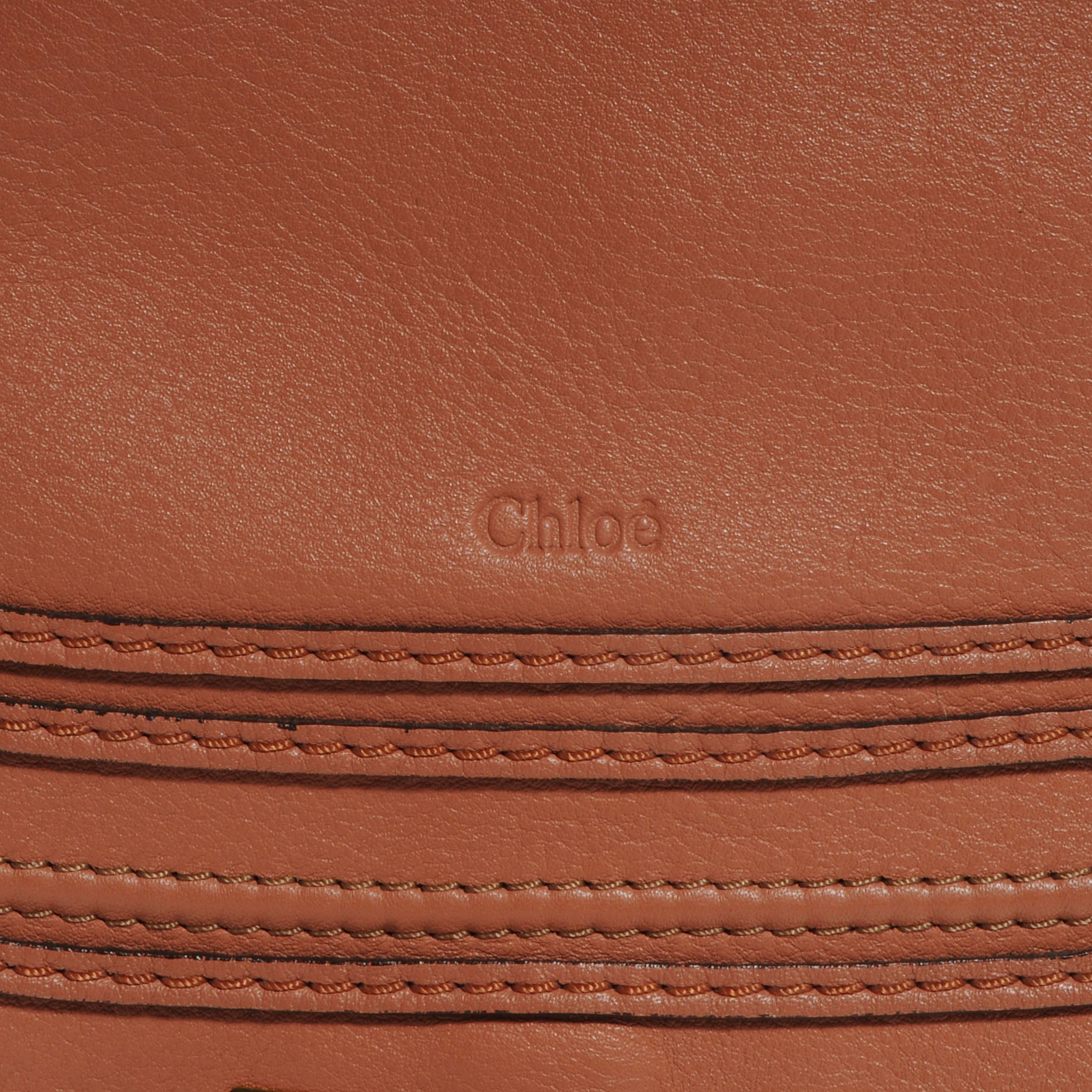 Chloe Calfskin Medium Marcie Satchel Clay 9 of 10