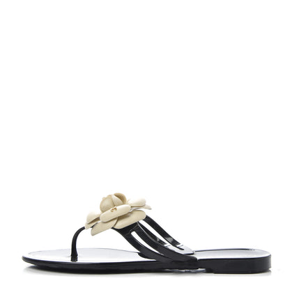 Chanel Jelly Camellia Thong Sandals 36 Black Ivory 1 of 10