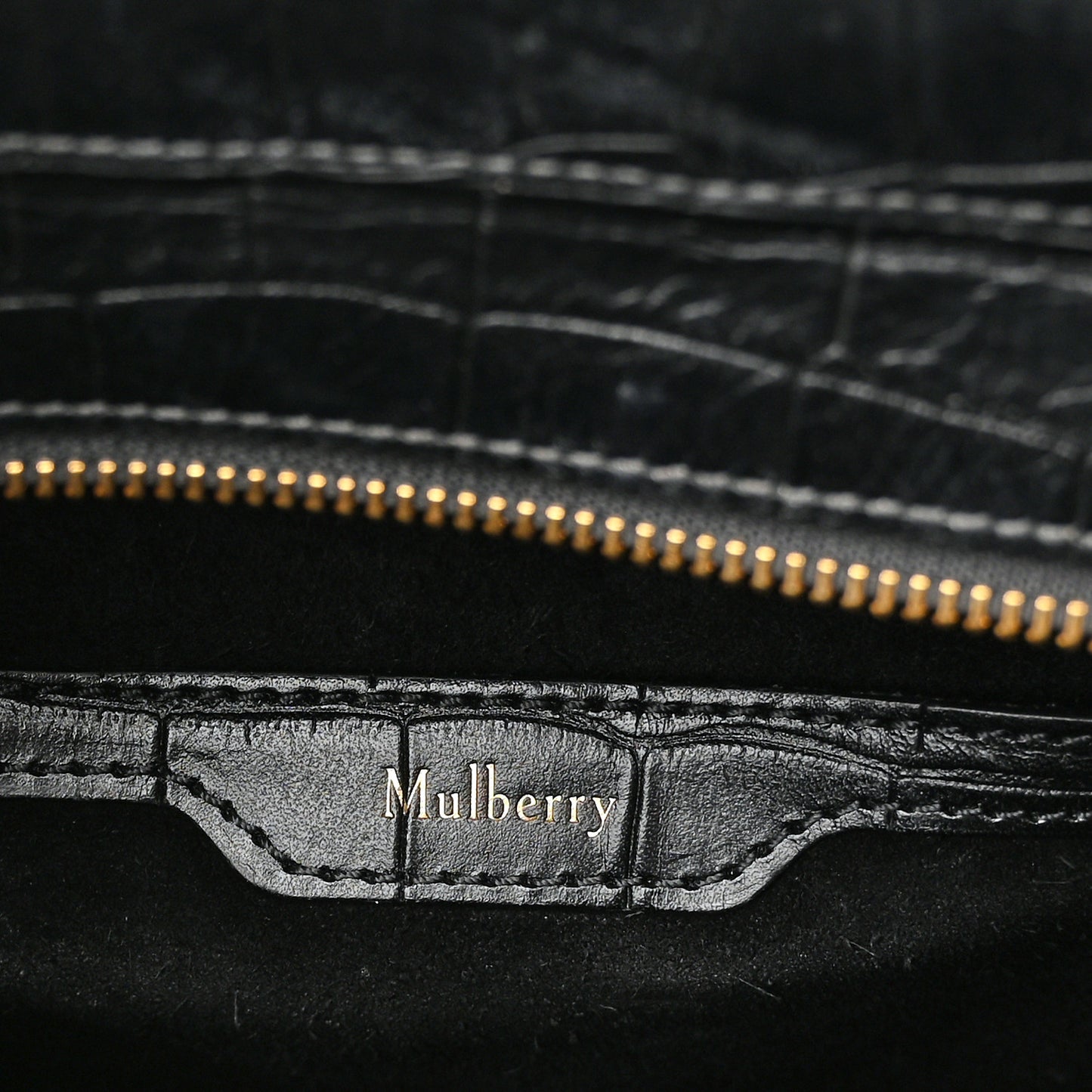 Crocodile Embossed Calfskin Small Zipped Bayswater Black