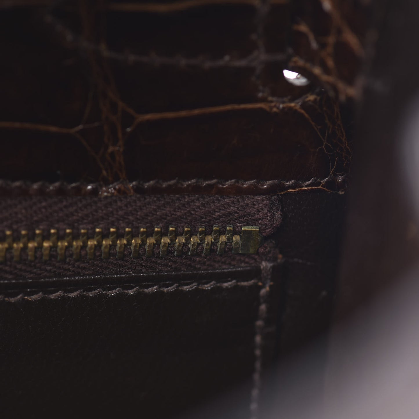 Shiny Niloticus Crocodile Kelly Sellier 32 Havane