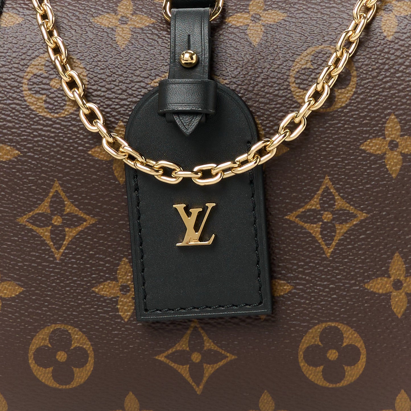 LOUIS VUITTON Monogram Petite Malle Souple Black