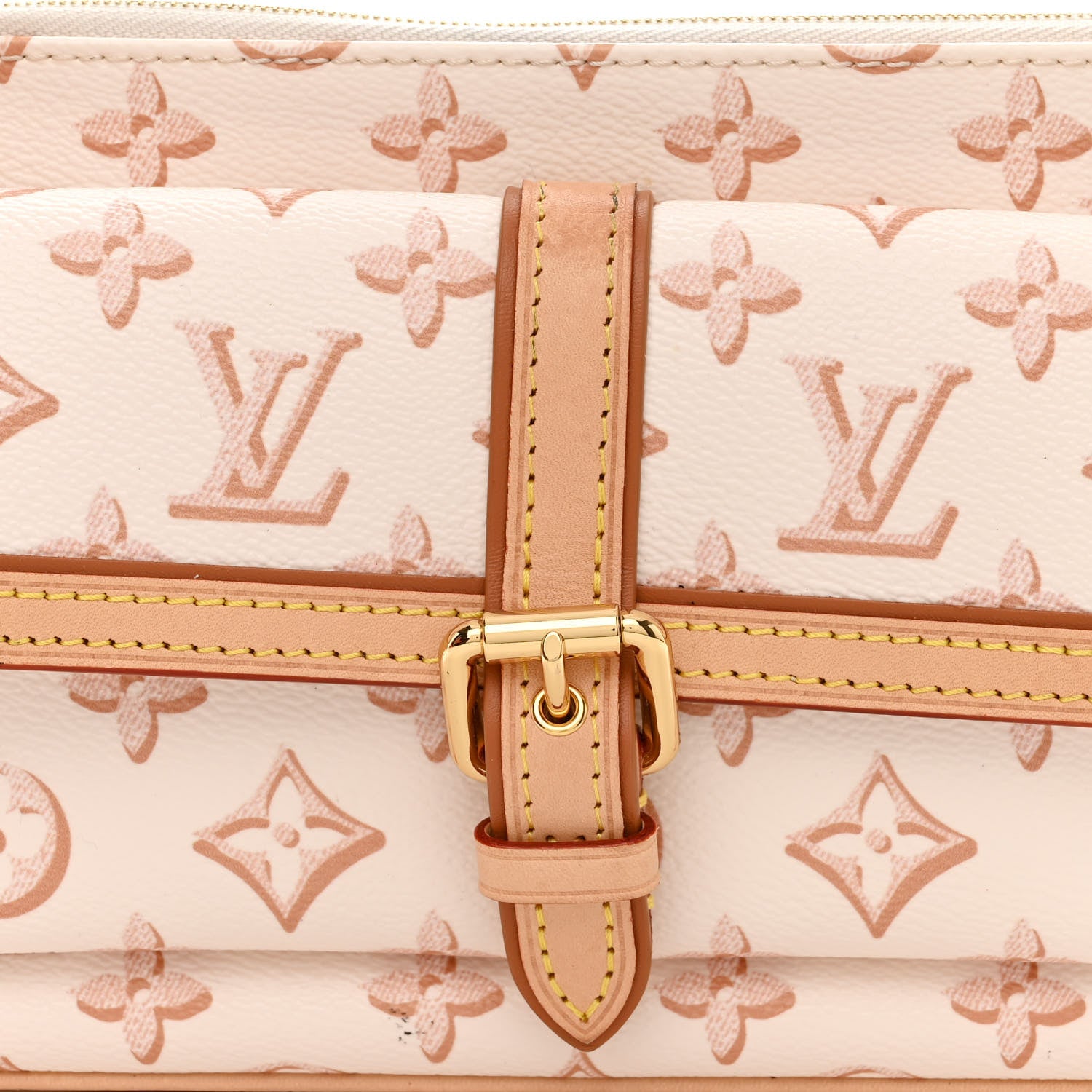 Louis Vuitton Monogram Fall For You Maxi Multi Pochette Accessories Beige Clair 8 of 12