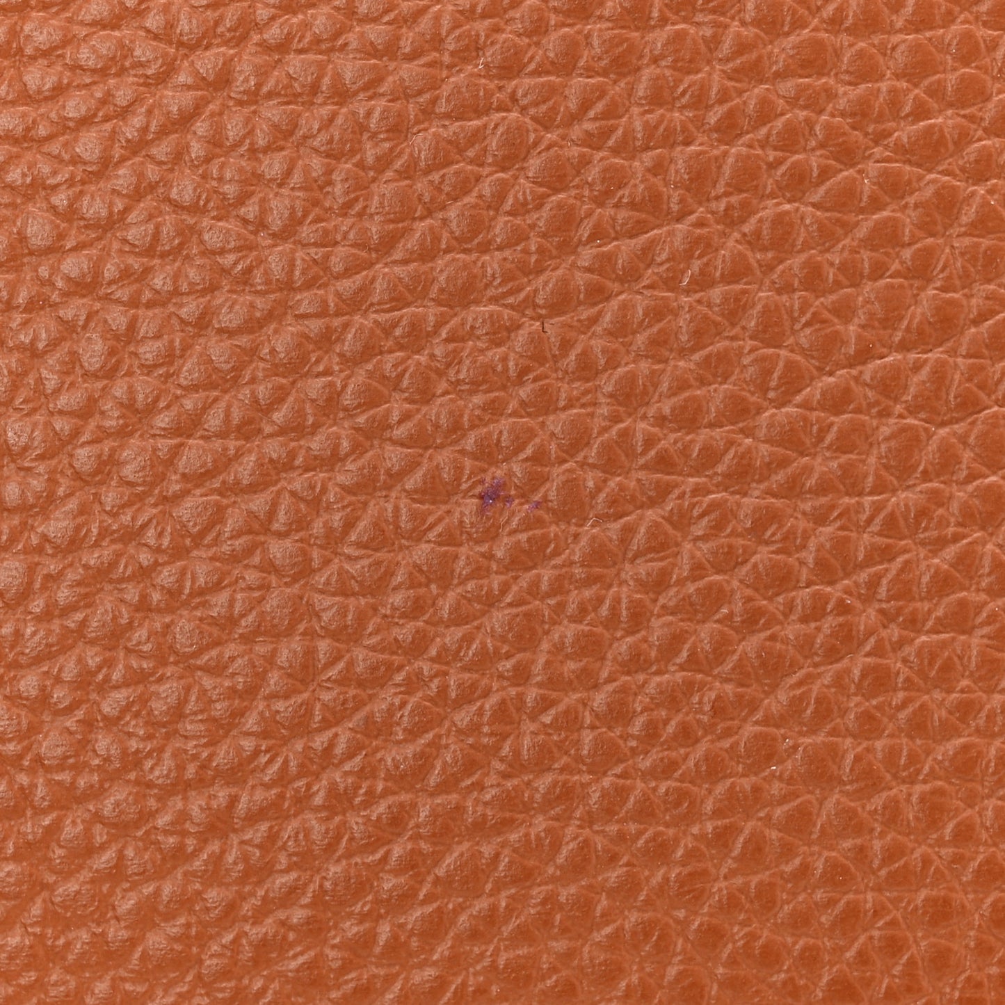 Grained Calfskin Small Marcie Saddle Bag Tan