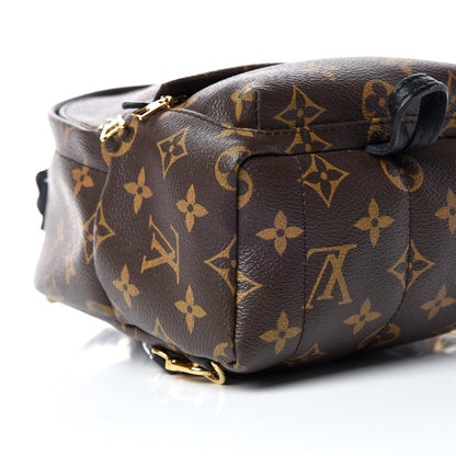 Louis Vuitton Monogram Palm Springs Backpack Mini 5 of 9
