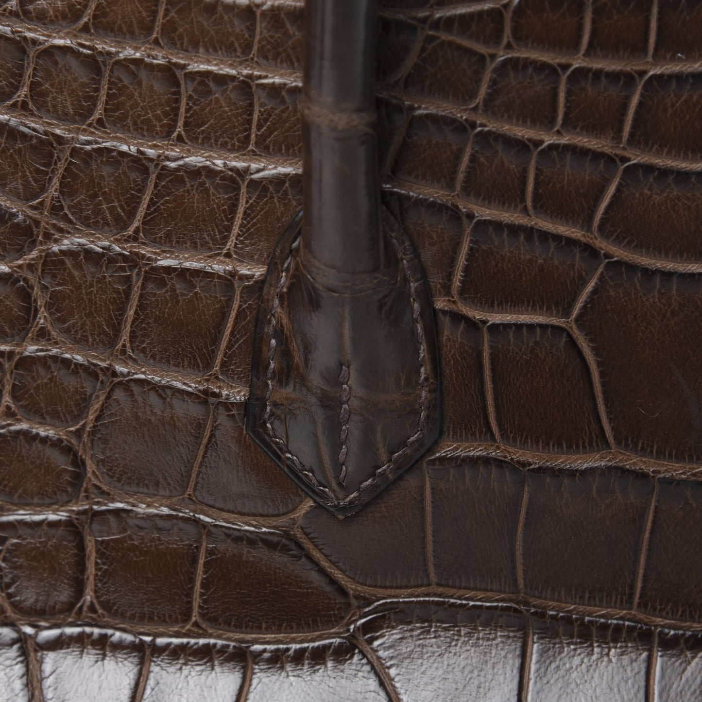 Matte Alligator Birkin 40 Chocolate