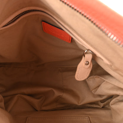 Chloe Calfskin Small Paraty Orange Fizz 5 of 9
