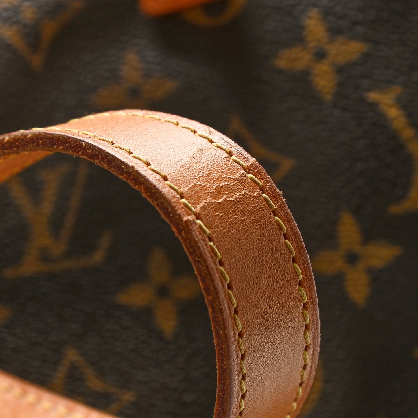 Monogram Cabas Mezzo