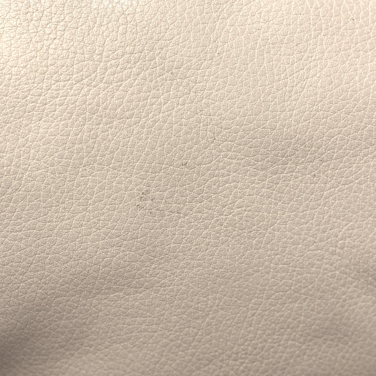Grained Calfskin Logo Belt Bag White