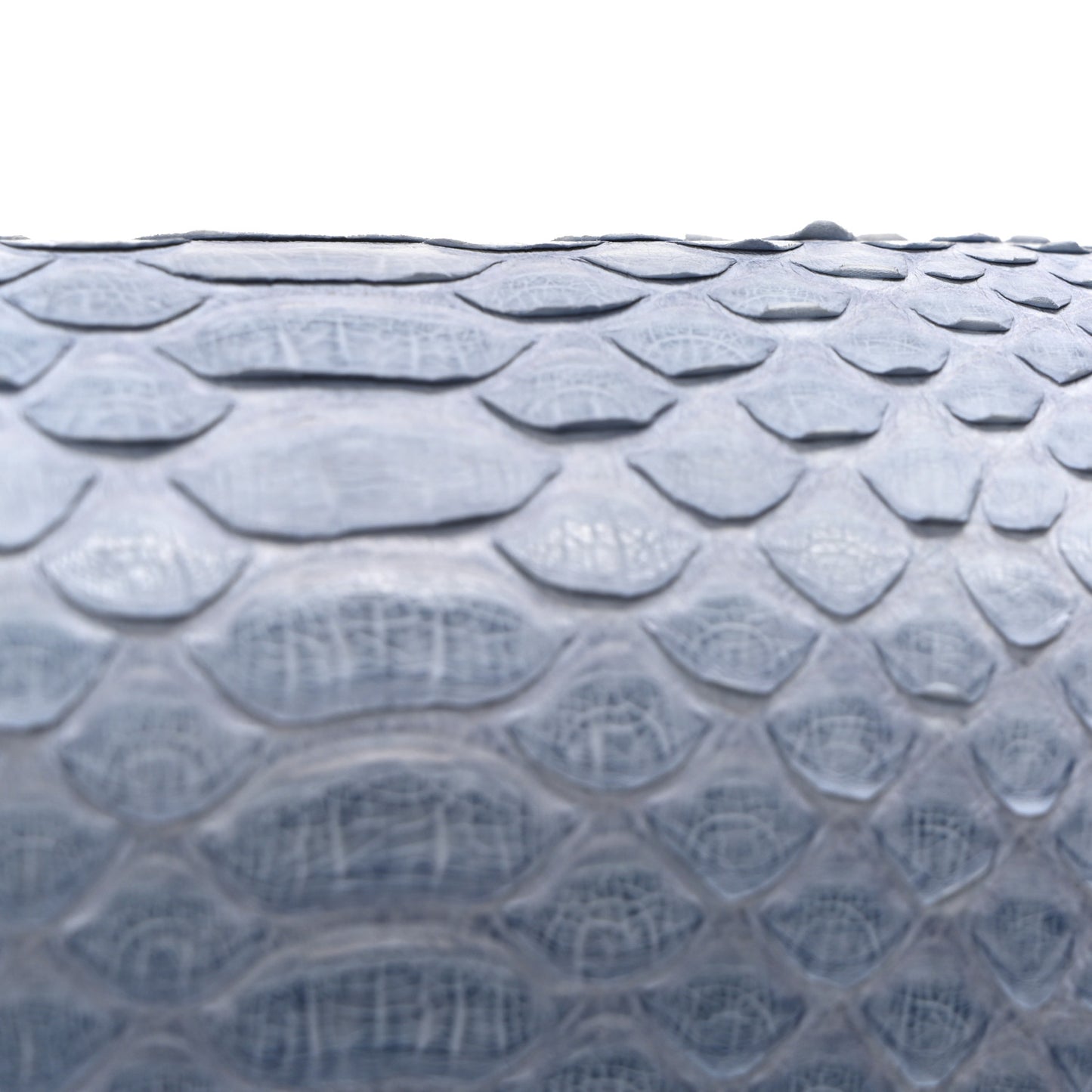 Snakeskin Mini Rectangular Flap Blue
