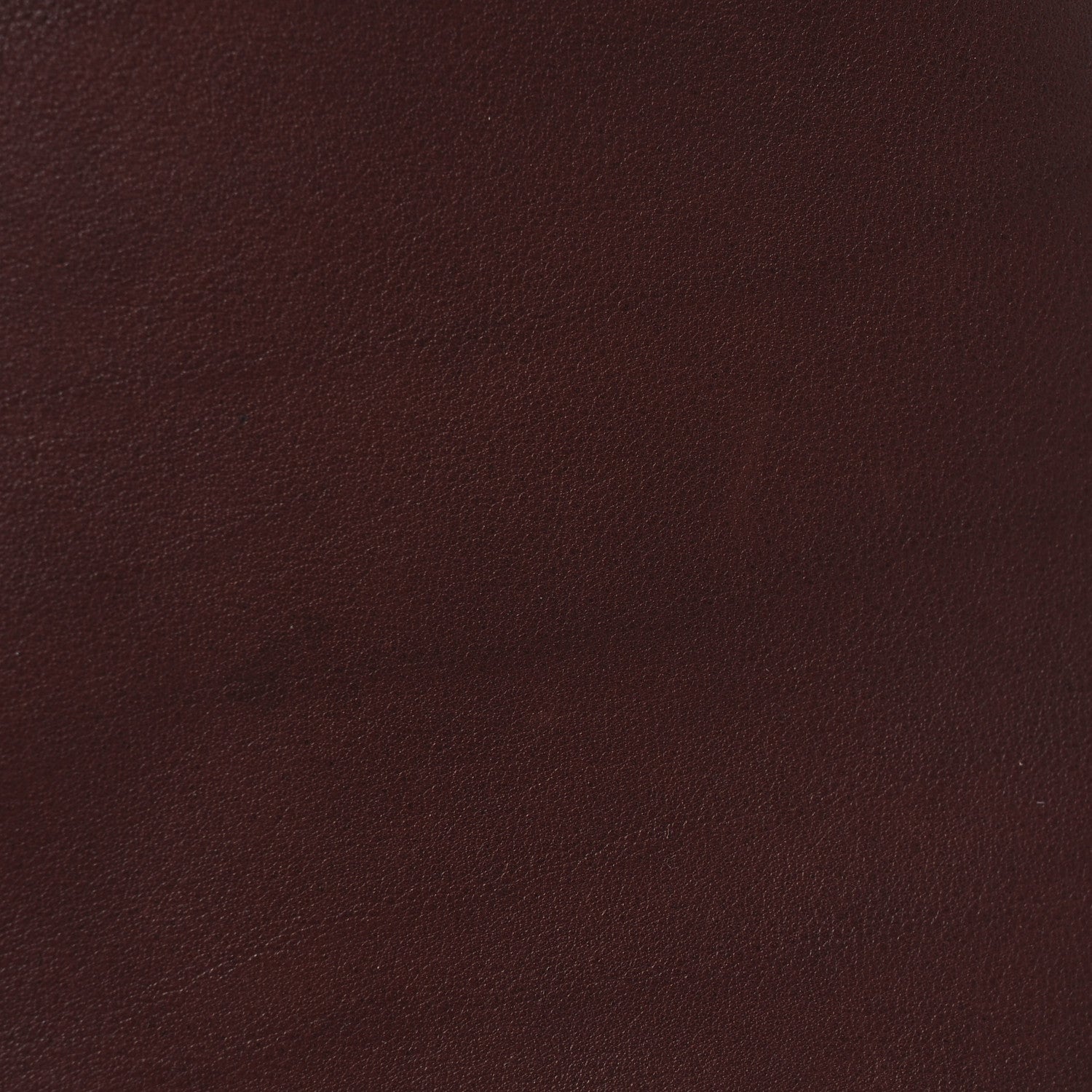 The Row Polished Saddle Calfskin Park Tote Three Cognac 16 of 19