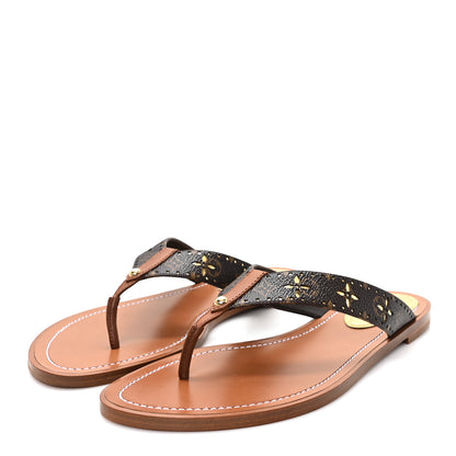 Louis Vuitton Monogram Sunny Flat Thong Sandals 39 Brown 4 of 9