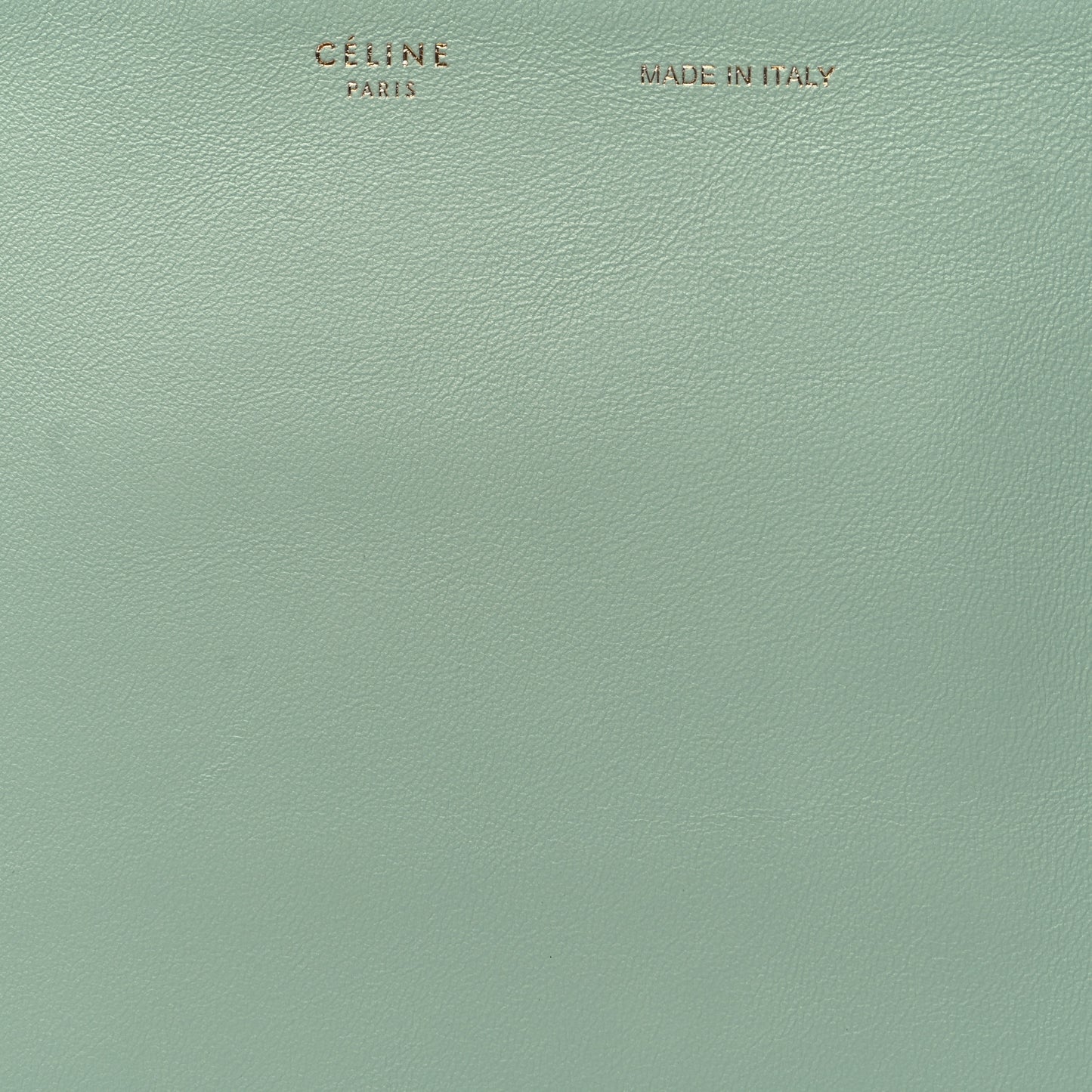 Cloudy Lambskin Solo Zip Pouch Celadon