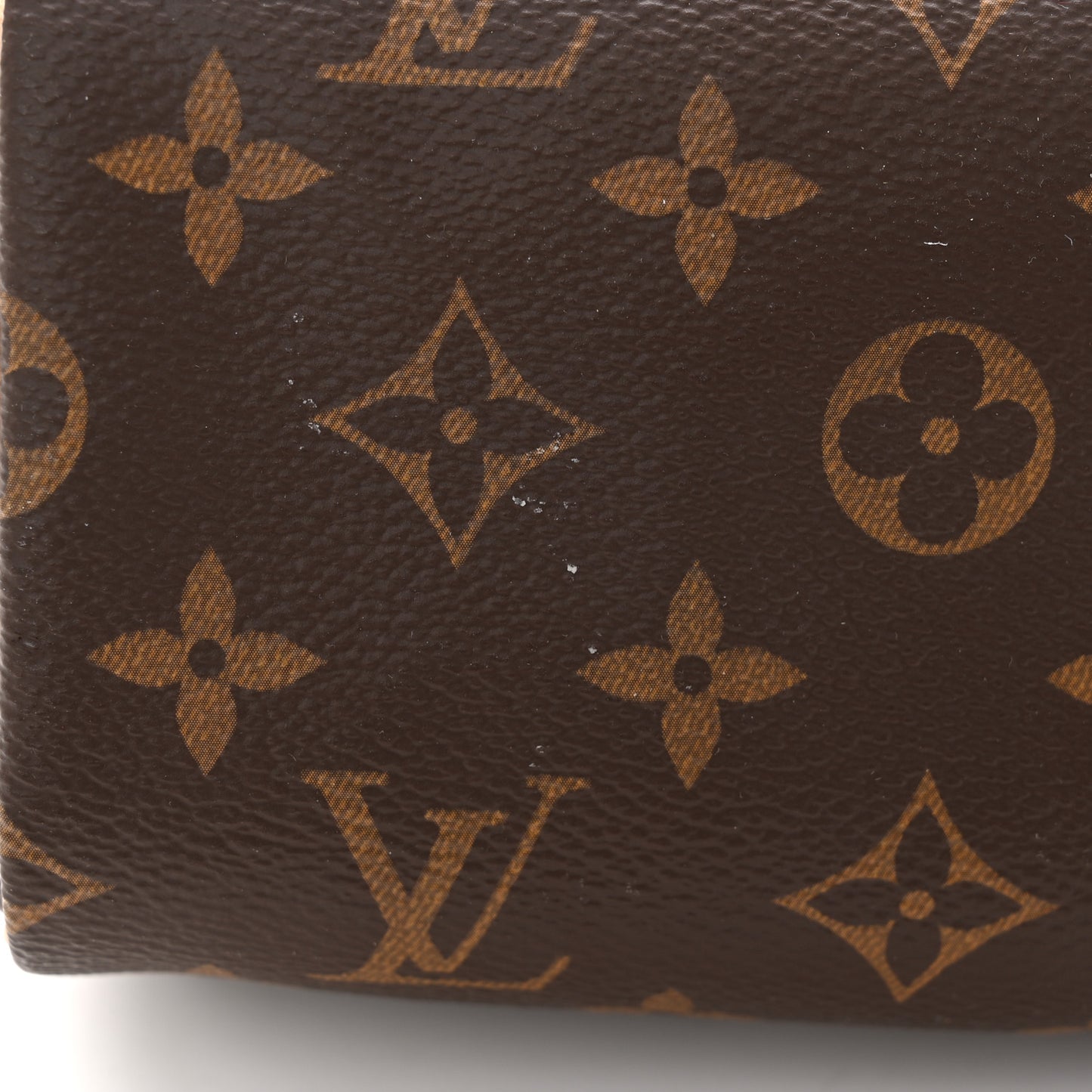 Monogram Nano Speedy