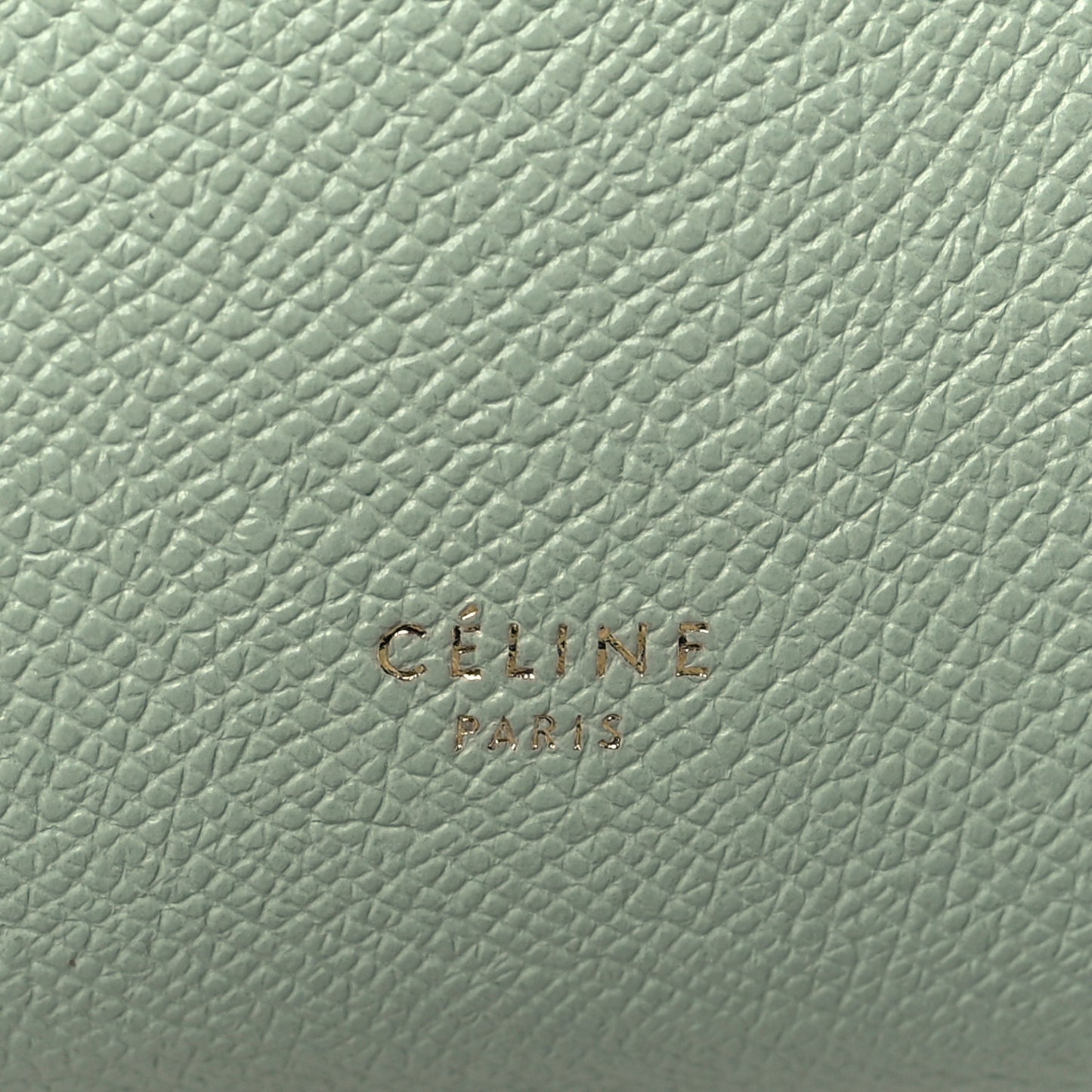 Grained Calfskin Nano Belt Bag Pastel Green