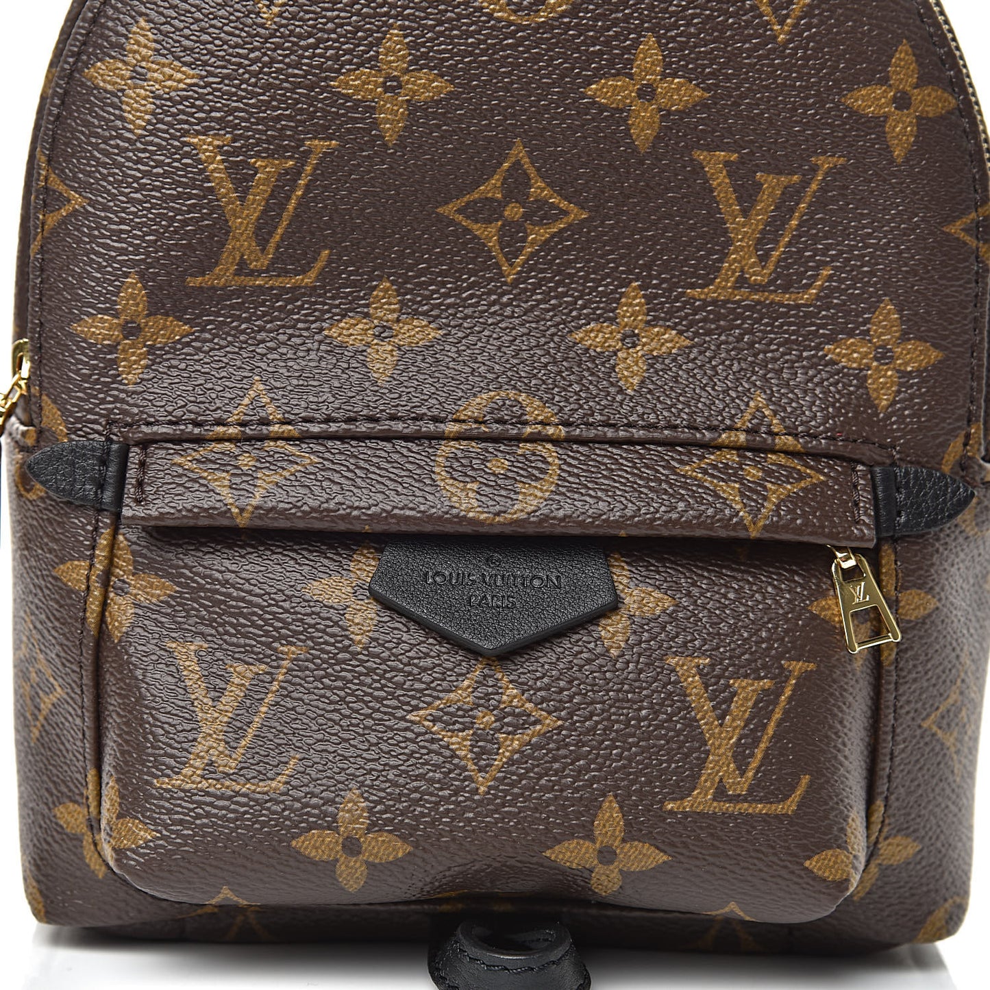 Monogram Palm Springs Backpack Mini