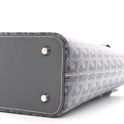 Goyard Goyardine Marie Galante PM Grey 9 of 12