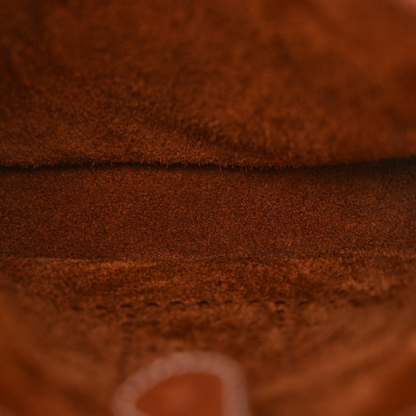 Taurillon Clemence Evelyne TPM Gold