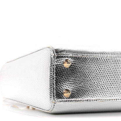 Christian Dior Metallic Lizard Small Lady Dior Argent 9 of 10