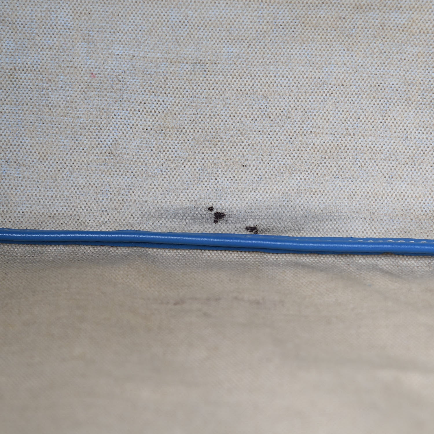Goyard Goyardine Saint Louis PM Sky Blue 13 of 16