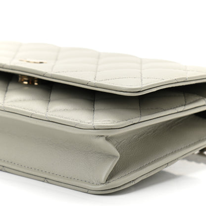 Chanel Lambskin Quilted Wallet On Chain WOC Grey 11 of 12