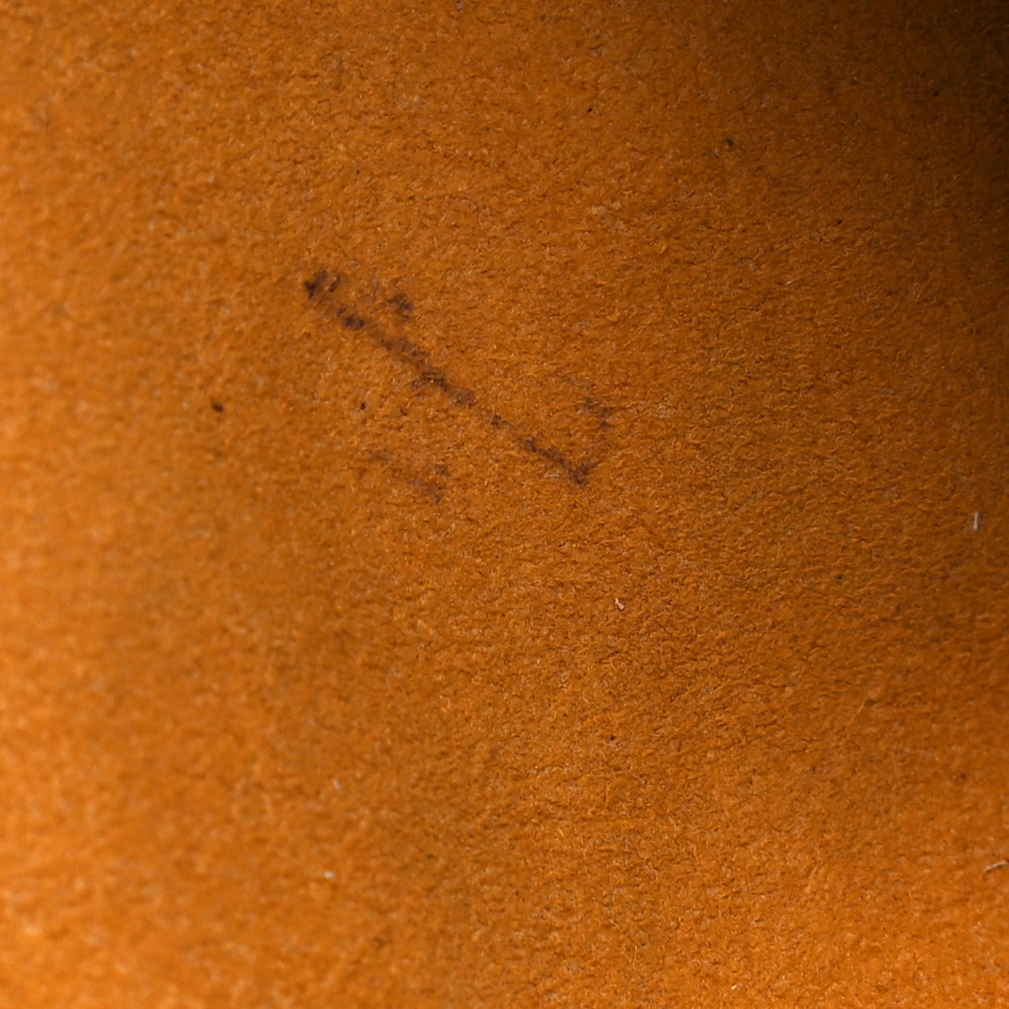 Monogram Denim Baggy PM Blue