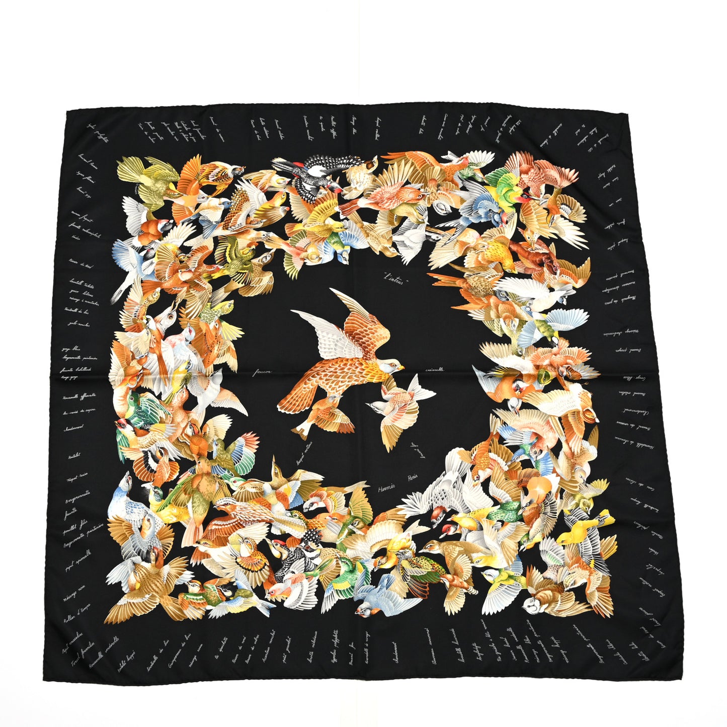 Silk L Intrus Birds Scarf 90 Black