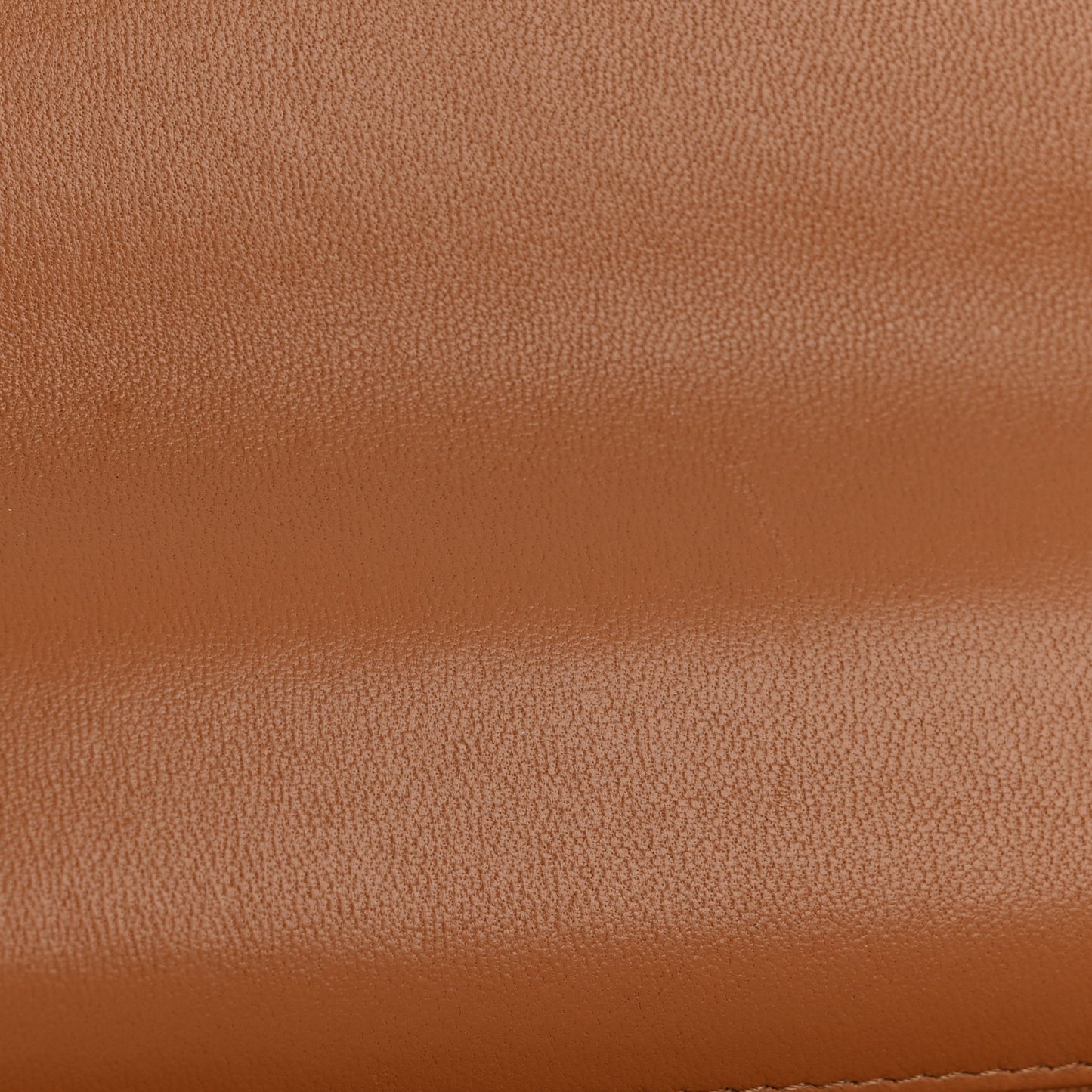Lambskin Quilted Chanel 19 Wallet On Chain WOC Brown