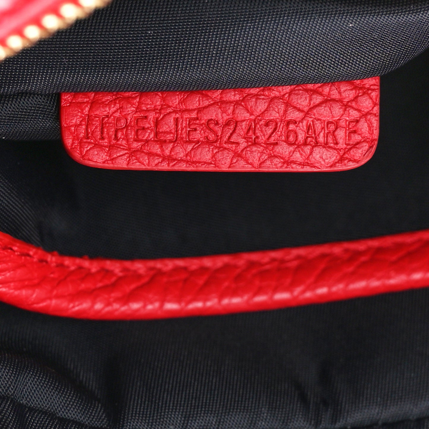 Calfskin Monogram Embossed Elongated Camera Bag Red