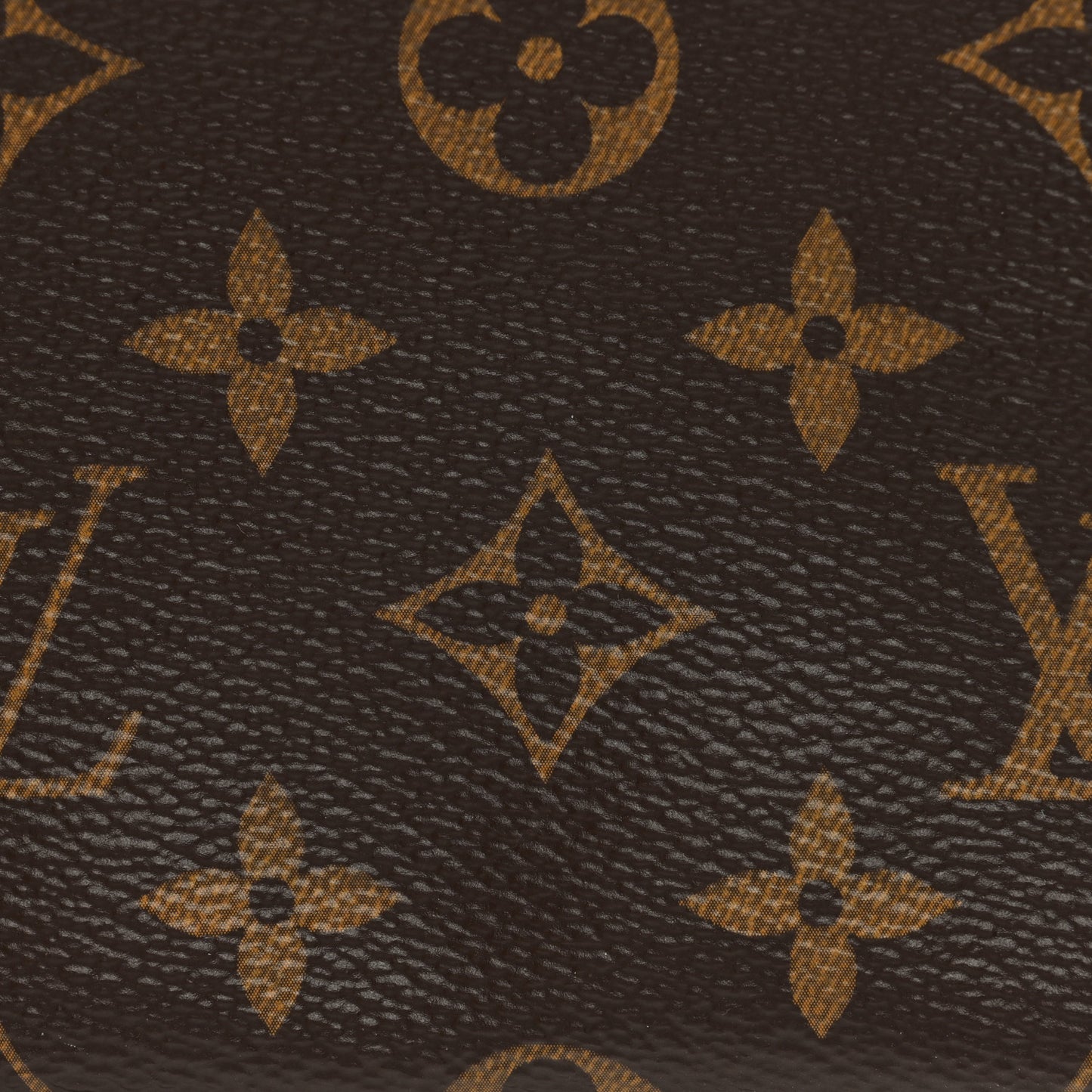 Monogram Mini Pochette Accessories