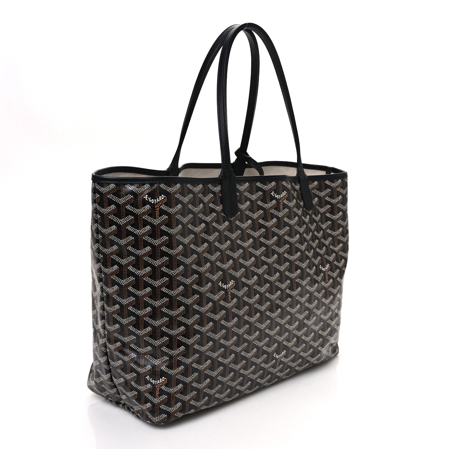 Goyard Goyardine Saint Louis PM Black 4 of 10