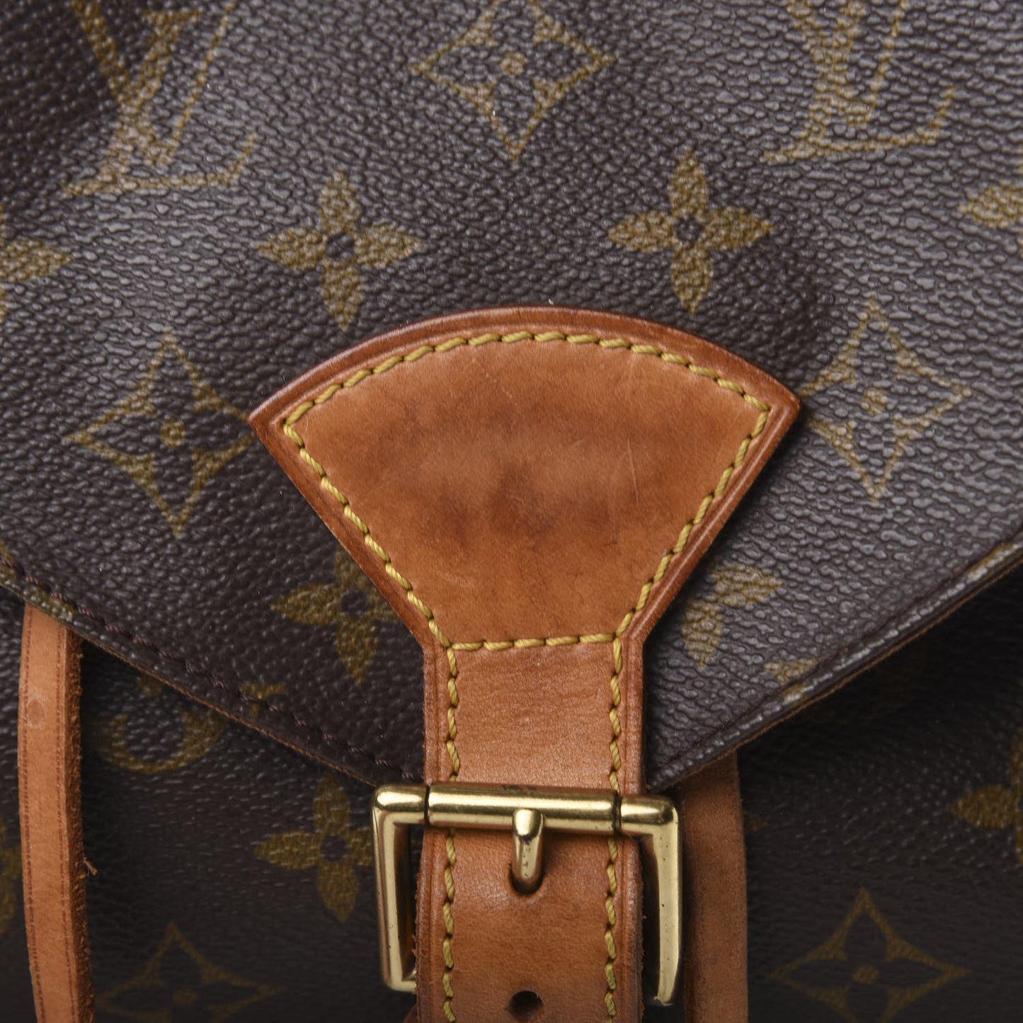 Monogram Montsouris GM Backpack