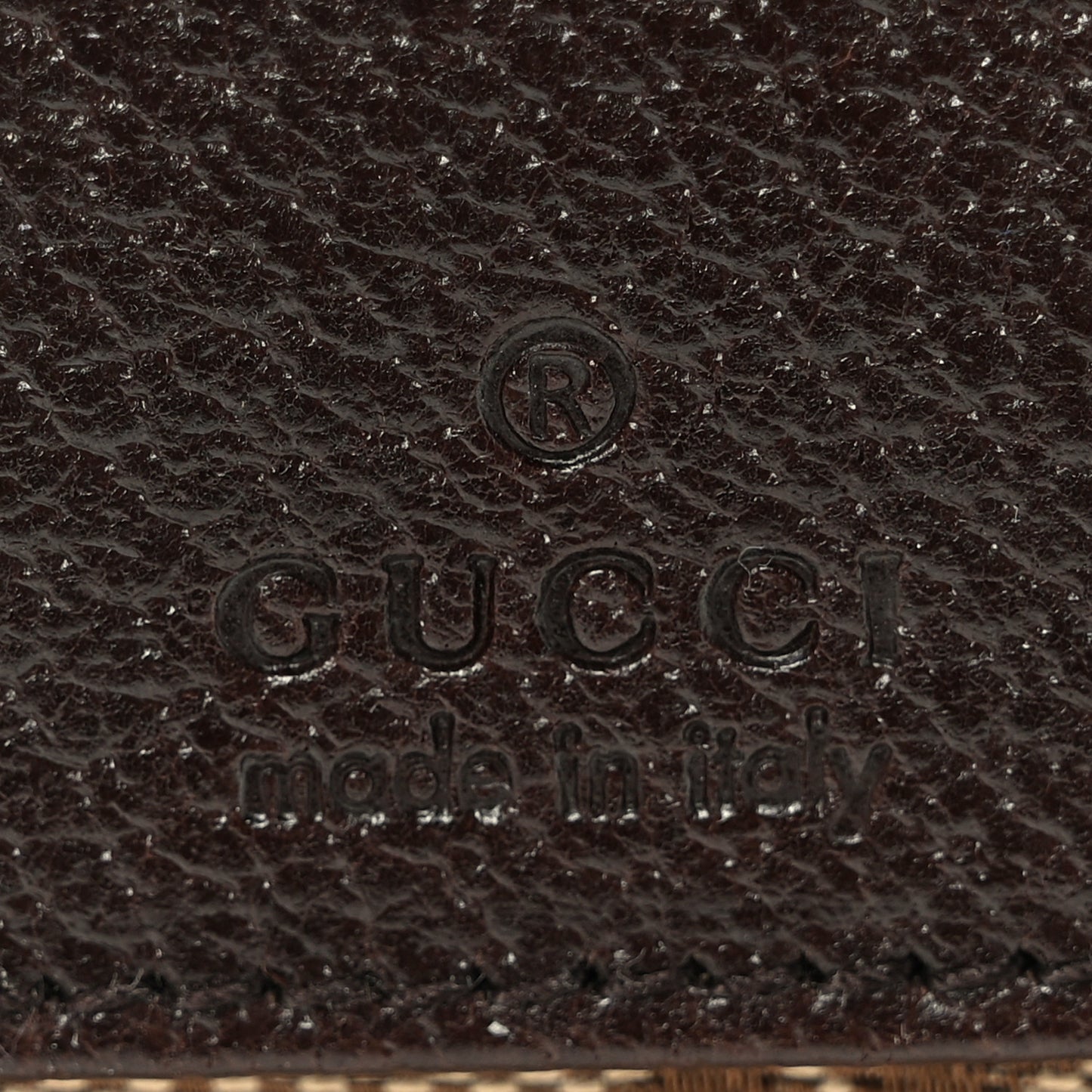 Monogram Web Belt Bag Dark Brown