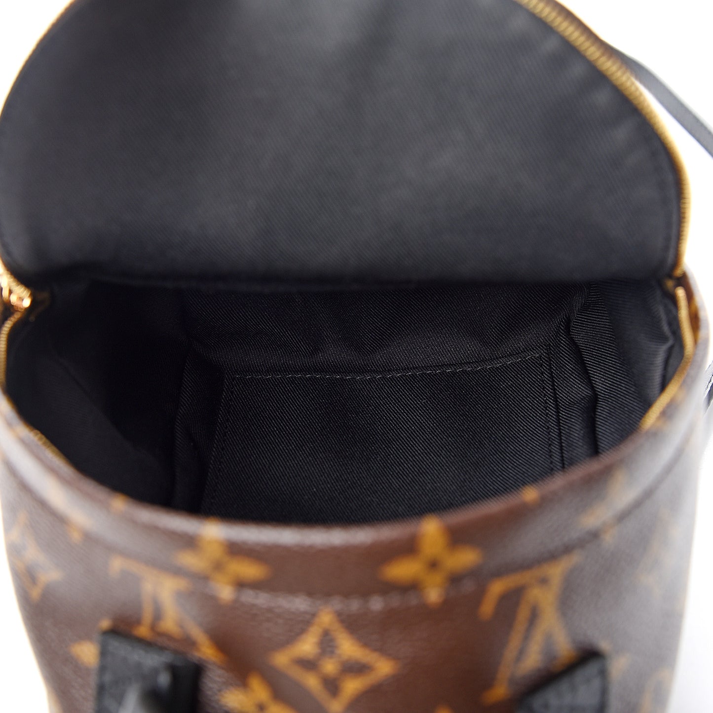 Monogram Palm Springs Backpack Mini