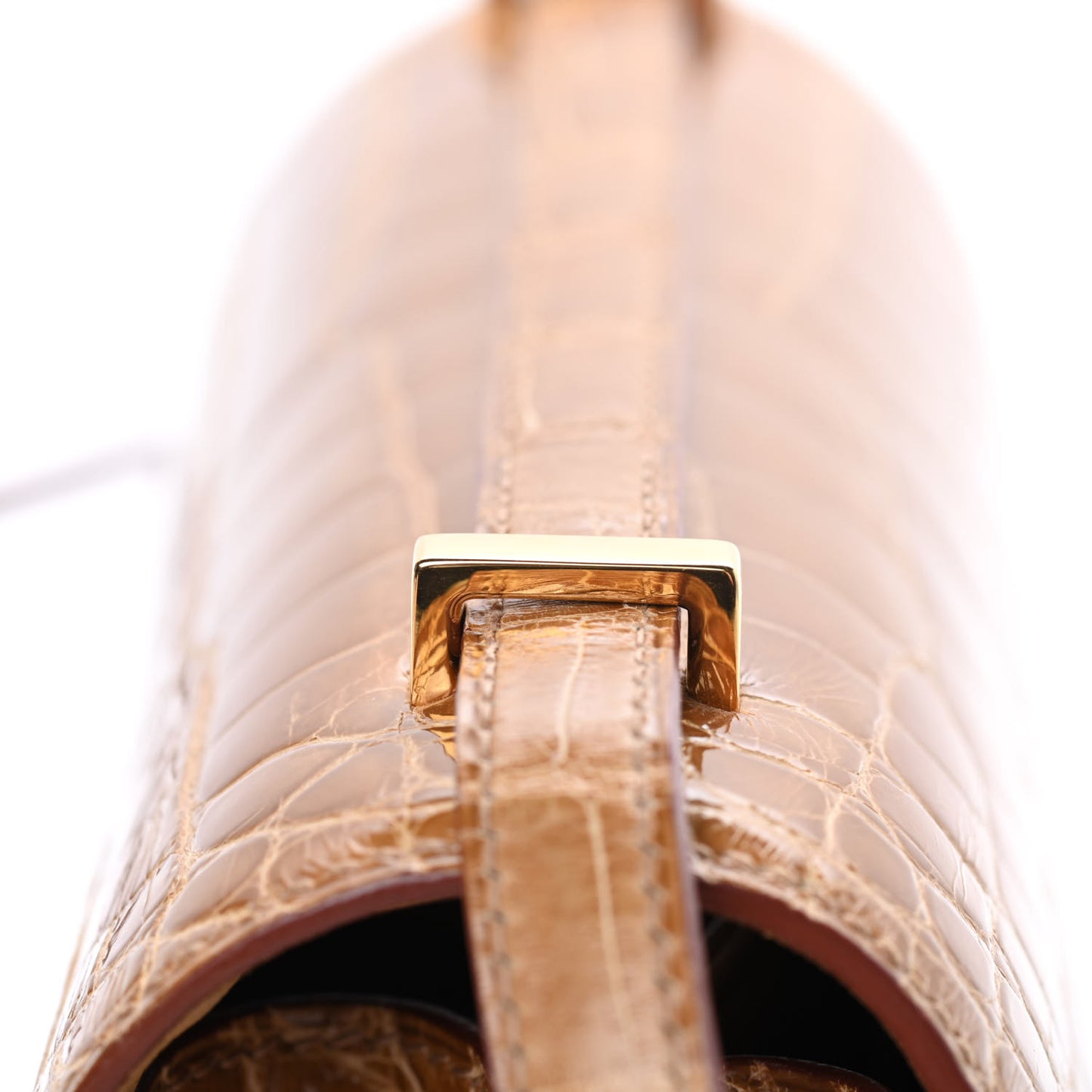 Shiny Alligator Constance 18 Tabac Camel