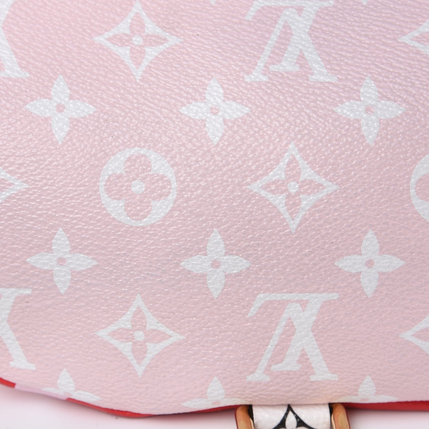 Monogram Giant Bumbag Rouge