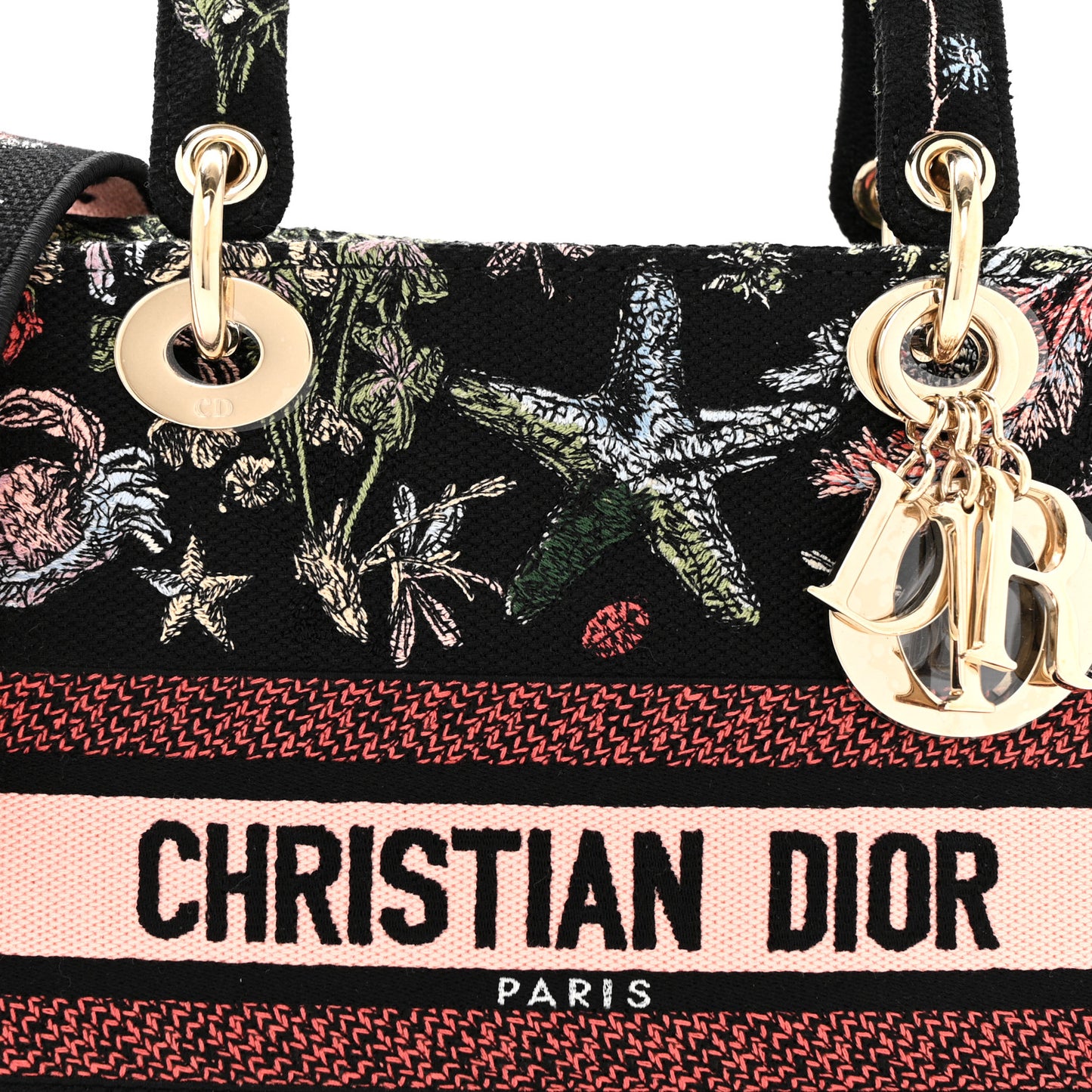 Canvas Cabinet De Curiosites Embroidered Medium Lady D-Lite Black Multicolor
