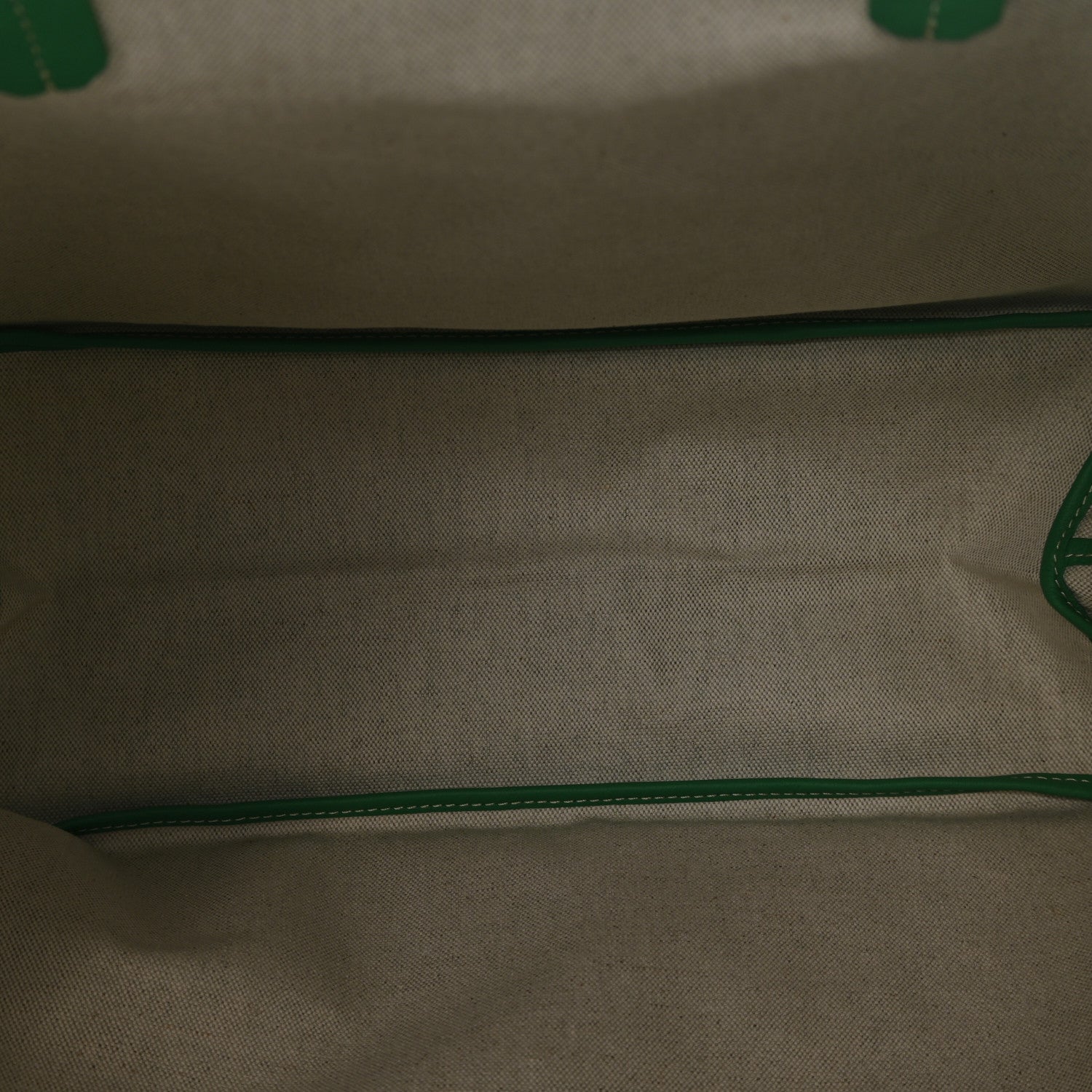 Goyard Goyardine Saint Louis PM Meadow Green 6 of 11