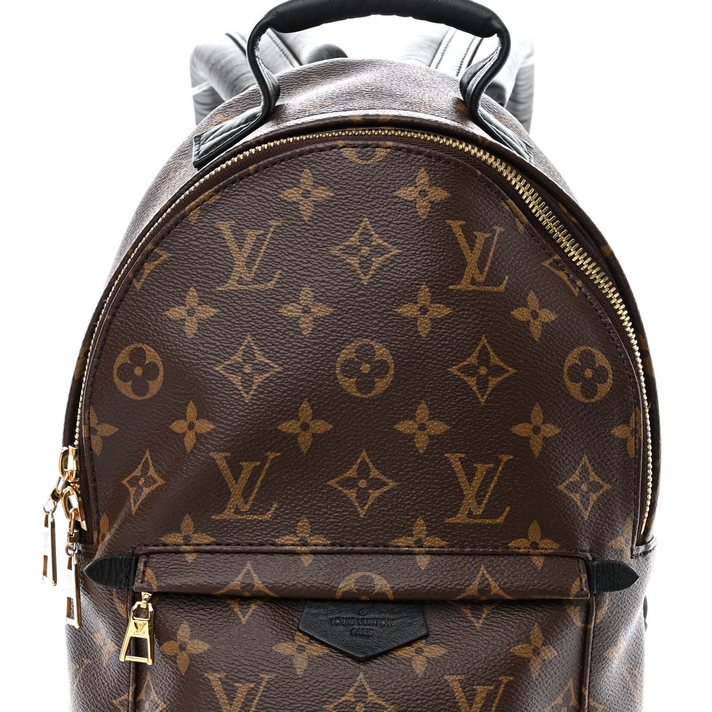 Monogram Palm Springs Backpack PM