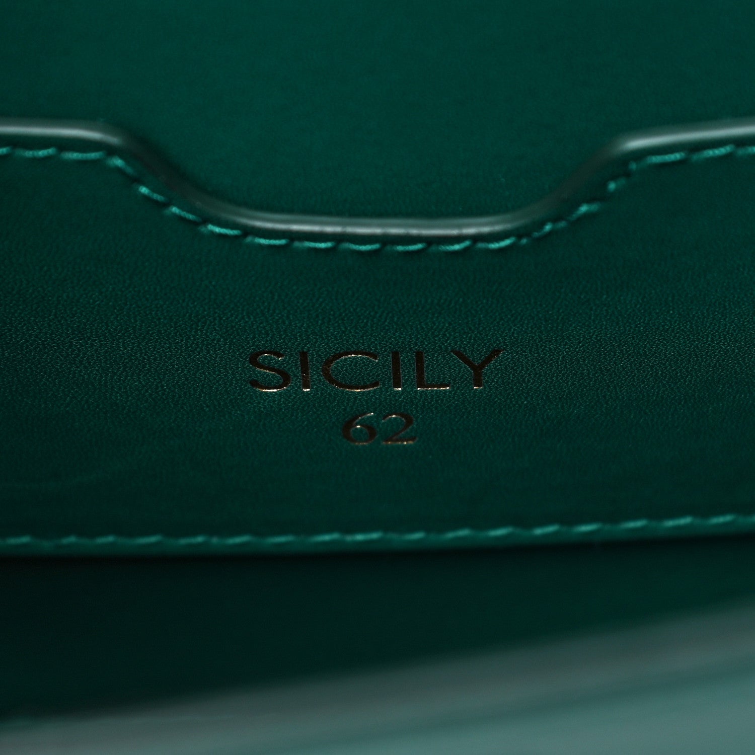 Dolce & Gabbana Calfskin Small Sicily 62 Green 6 of 14