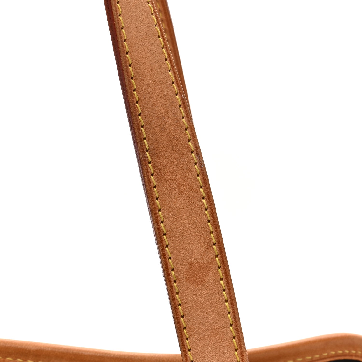 Louis Vuitton Monogram Sac Baxter PM Dog Pet Carrier 15 of 16
