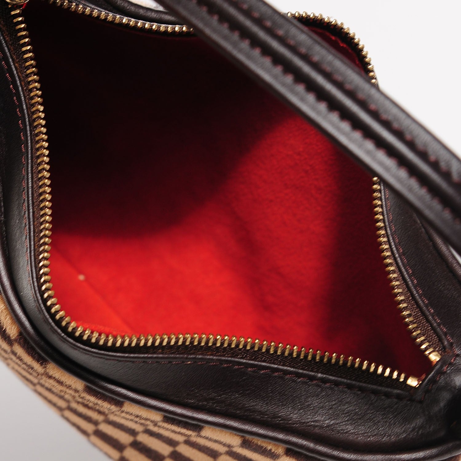 Louis Vuitton Calf Hair Damier Sauvage Tigre 5 of 8